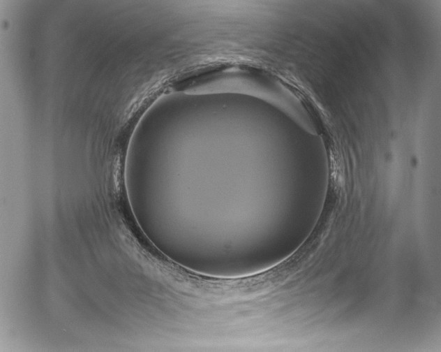 X0000054370023200508011232