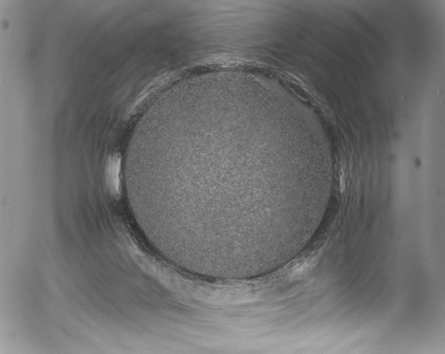 X0000054370024200508011232