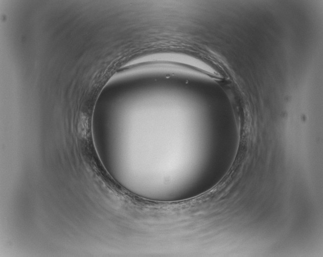 X0000054370025200508011232