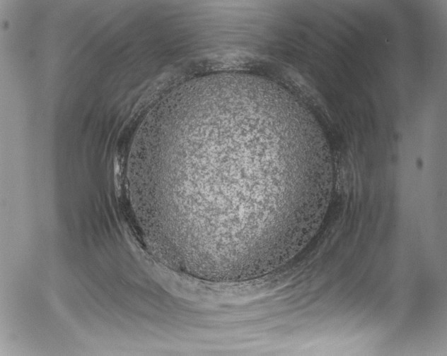 X0000054370026200508011232