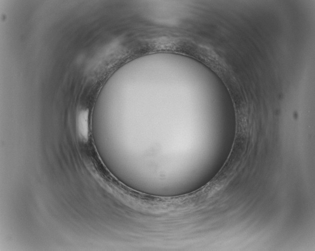 X0000054370028200508011232