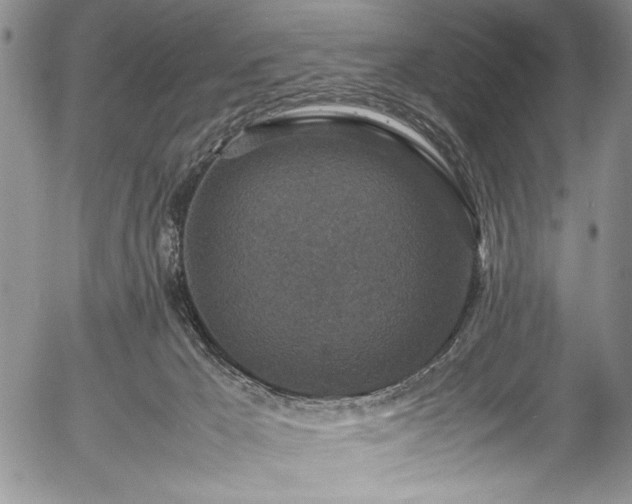 X0000054370029200508011232