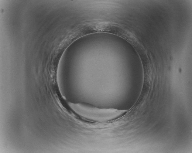 X0000054370031200508011232