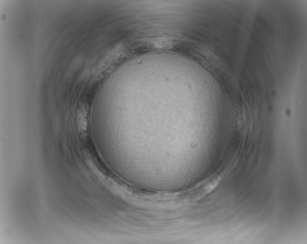 X0000054370032200508011232