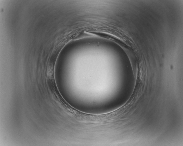 X0000054370033200508011232