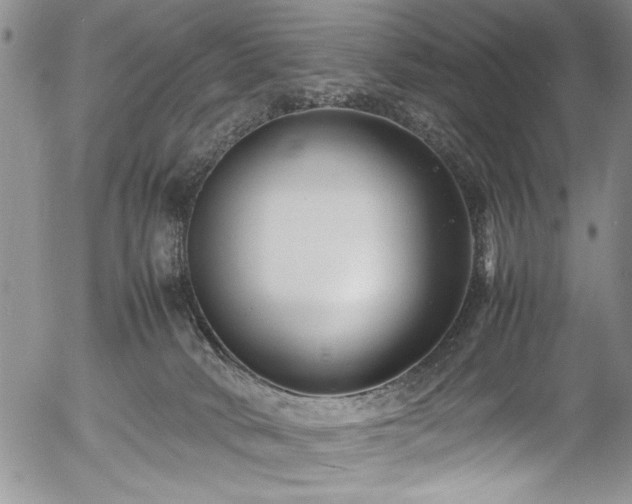 X0000054370034200508011232