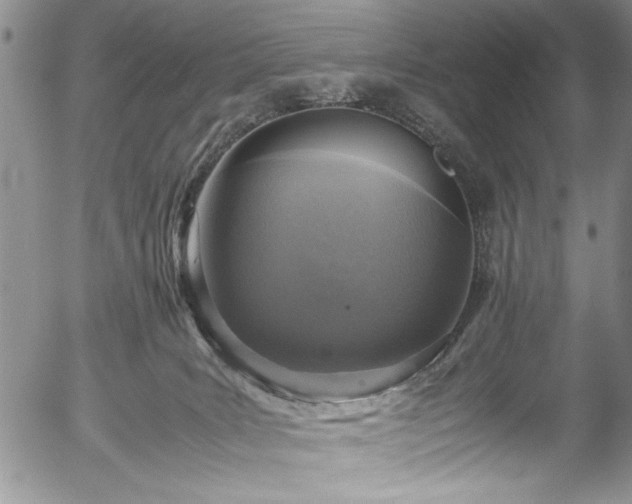 X0000054370035200508011232