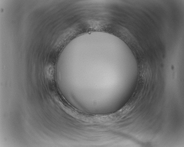 X0000054370036200508011232