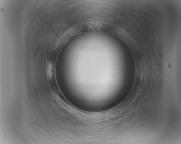 X0000054370038200508011232