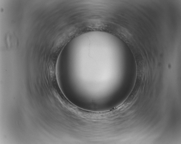 X0000054370040200508011232