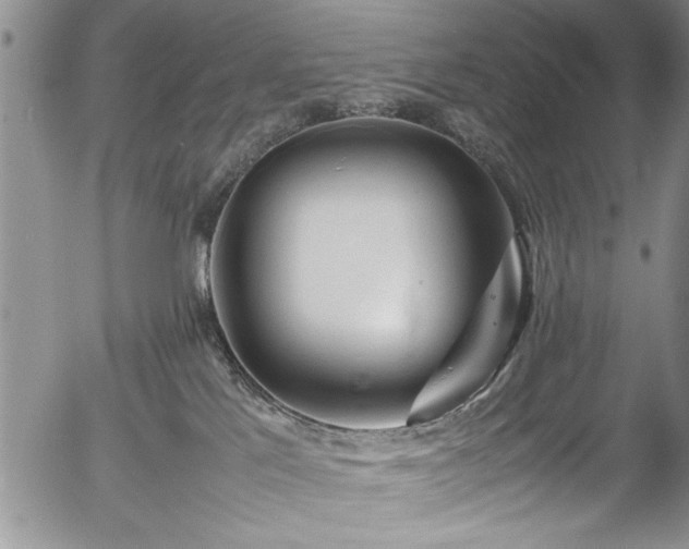 X0000054370041200508011232