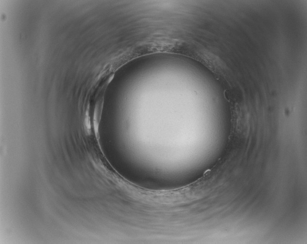 X0000054370042200508011232