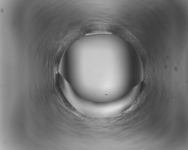 X0000054370045200508011232