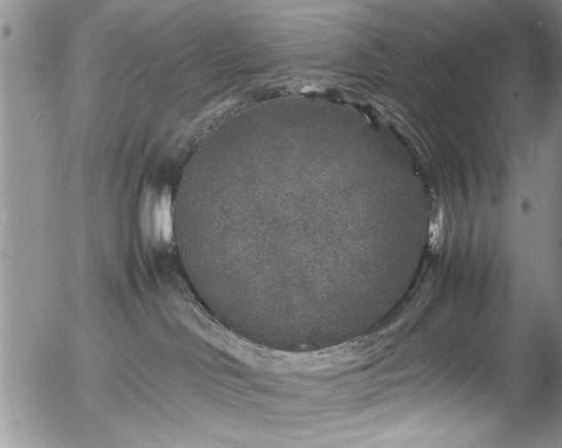 X0000054370046200508011232