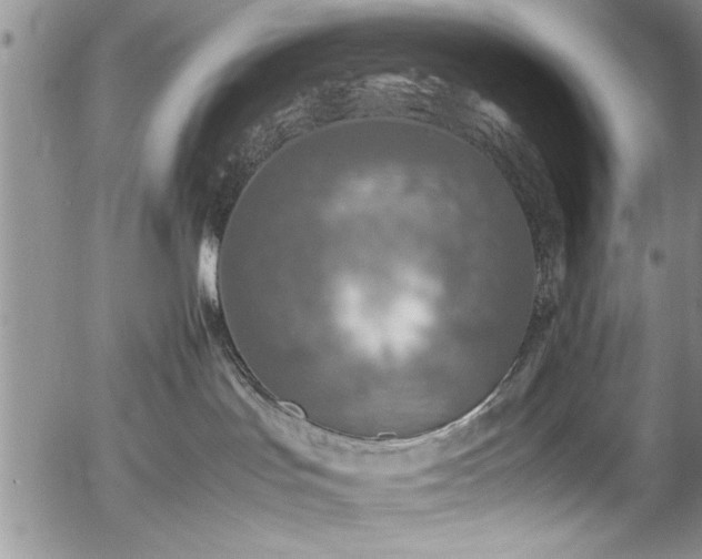 X0000054370047200508011232