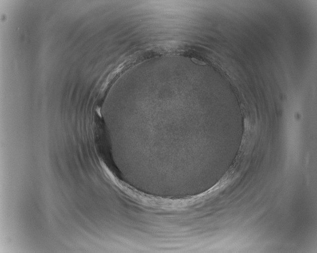 X0000054370048200508011232