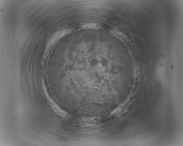 X0000054370049200508011231