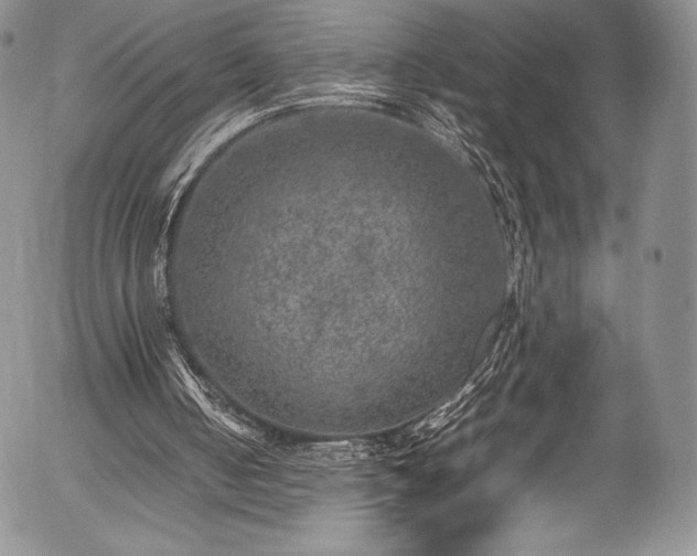 X0000054370050200508011231