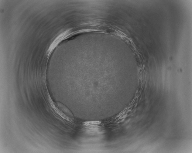 X0000054370051200508011231