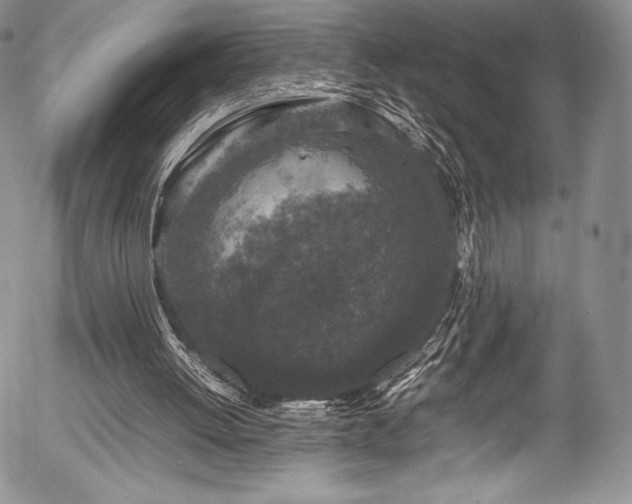 X0000054370052200508011231