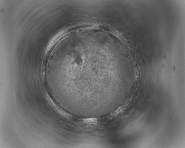 X0000054370053200508011231