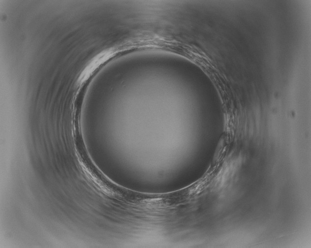 X0000054370054200508011231