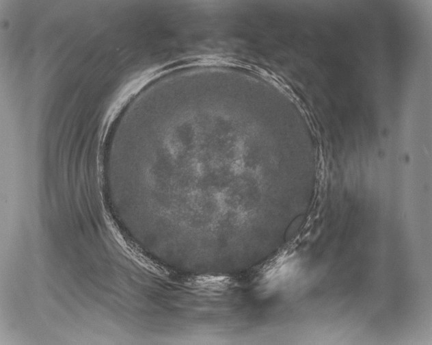 X0000054370055200508011231