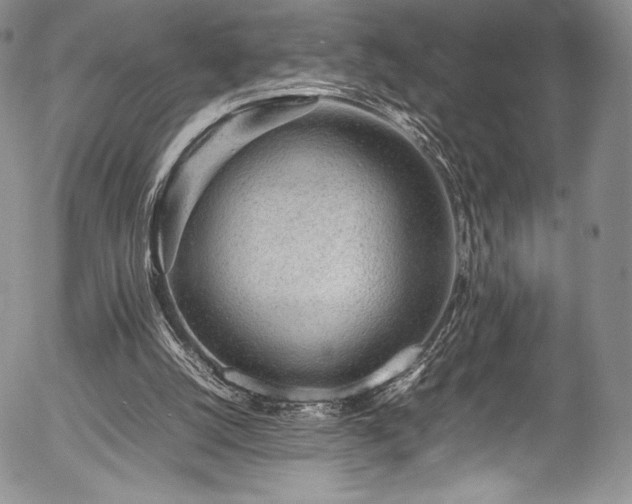 X0000054370056200508011231