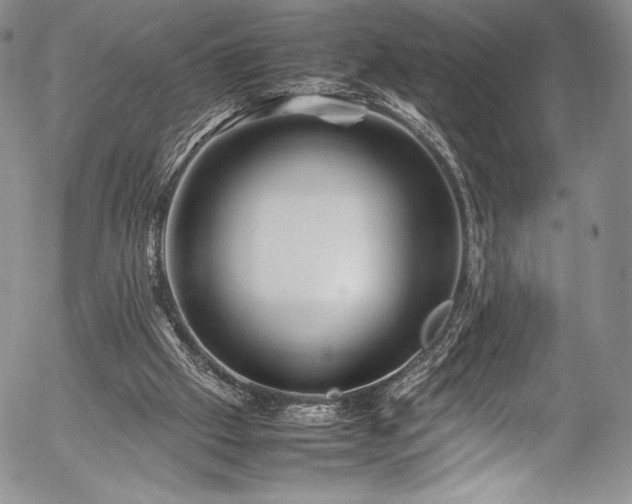 X0000054370057200508011231