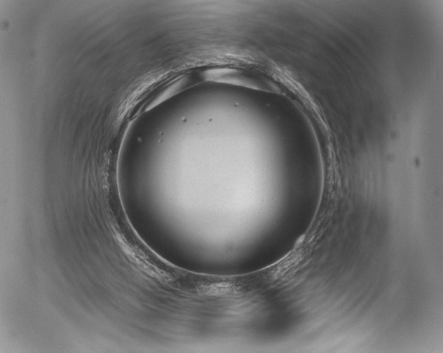 X0000054370058200508011231