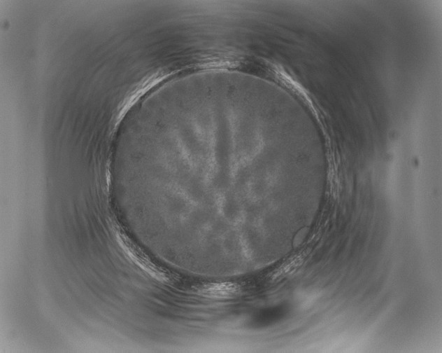 X0000054370059200508011231