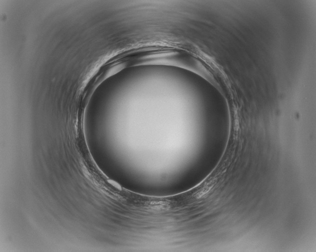 X0000054370060200508011231