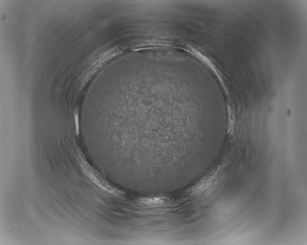 X0000054370061200508011231