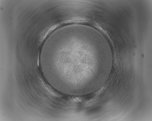 X0000054370062200508011231