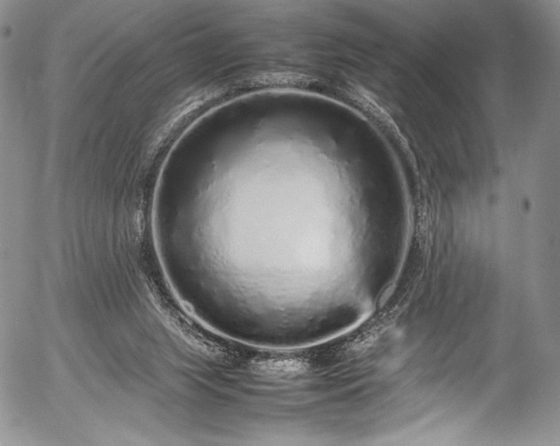 X0000054370063200508011231