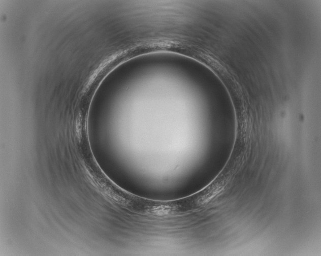 X0000054370064200508011231