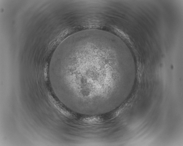 X0000054370065200508011231