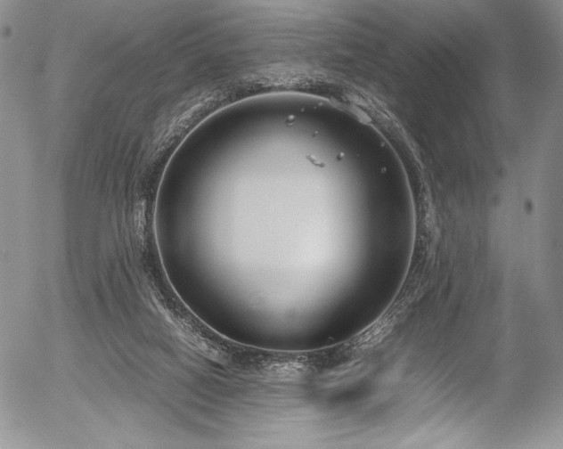 X0000054370066200508011231