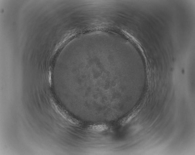 X0000054370067200508011231