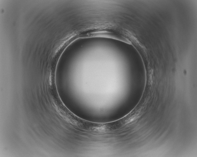 X0000054370068200508011231