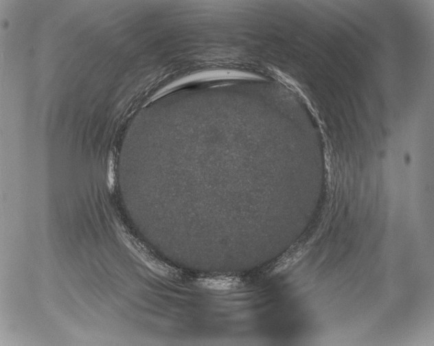 X0000054370069200508011231