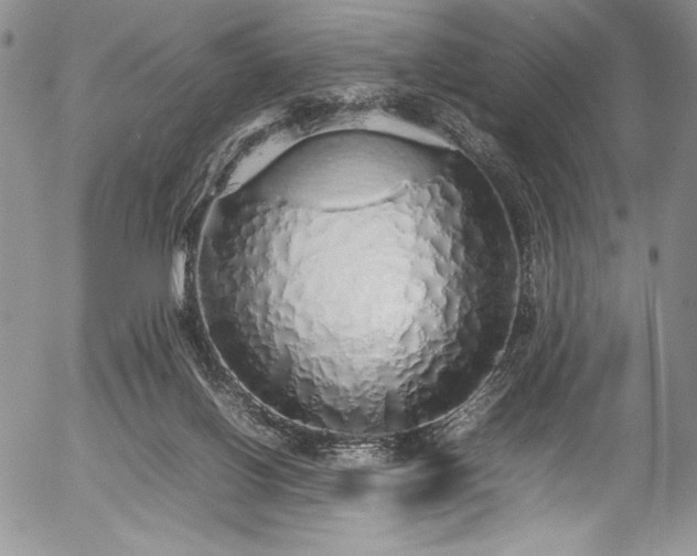 X0000054370070200508011231