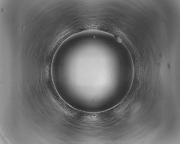 X0000054370071200508011231