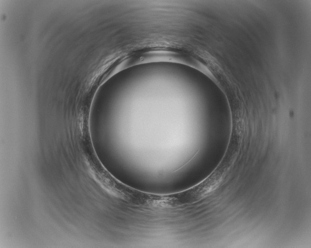 X0000054370072200508011231