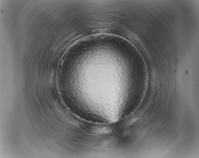 X0000054370073200508011231