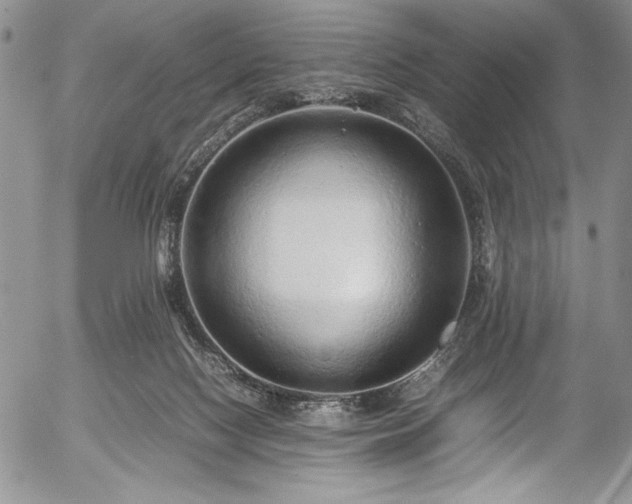 X0000054370074200508011231