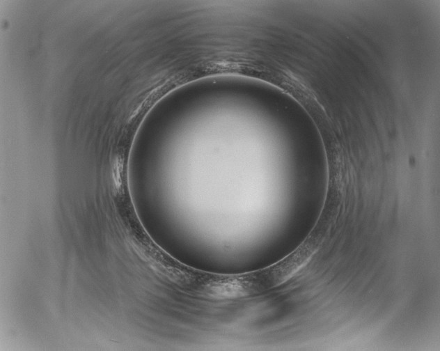 X0000054370075200508011231