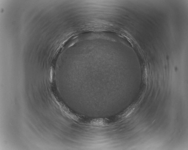 X0000054370076200508011231