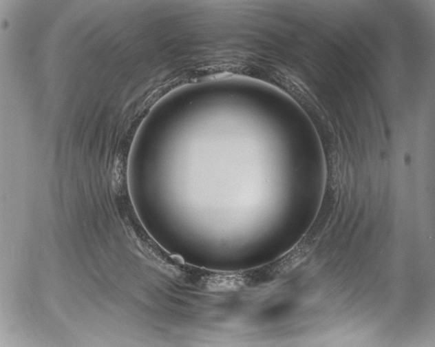 X0000054370077200508011231