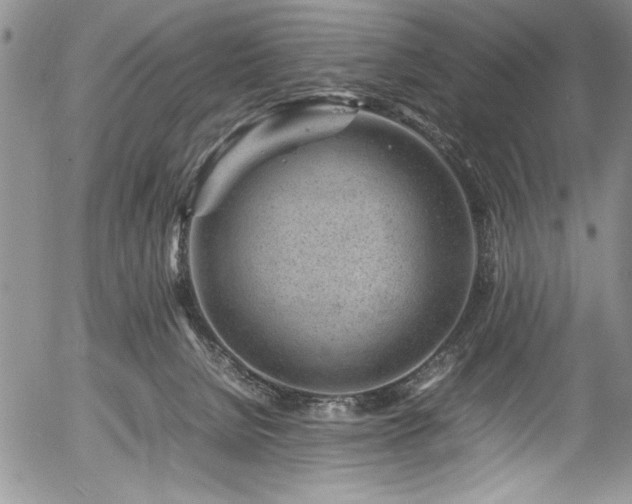 X0000054370080200508011231